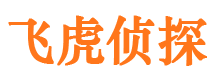 桥东市侦探调查公司